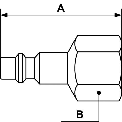 243_IRP_100.jpg